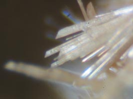 ferristrunzite-photo & coll JDV
